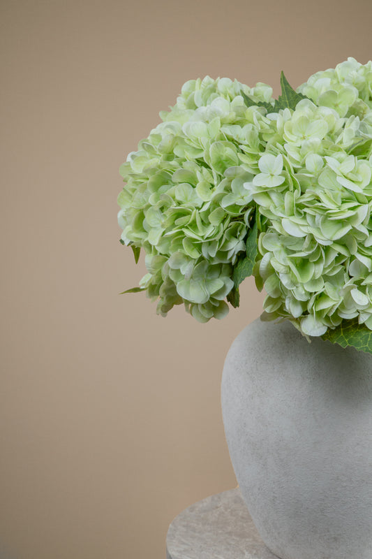 Light green hydrangea flowers arranged in a matte gray ceramic vase against a warm beige background.