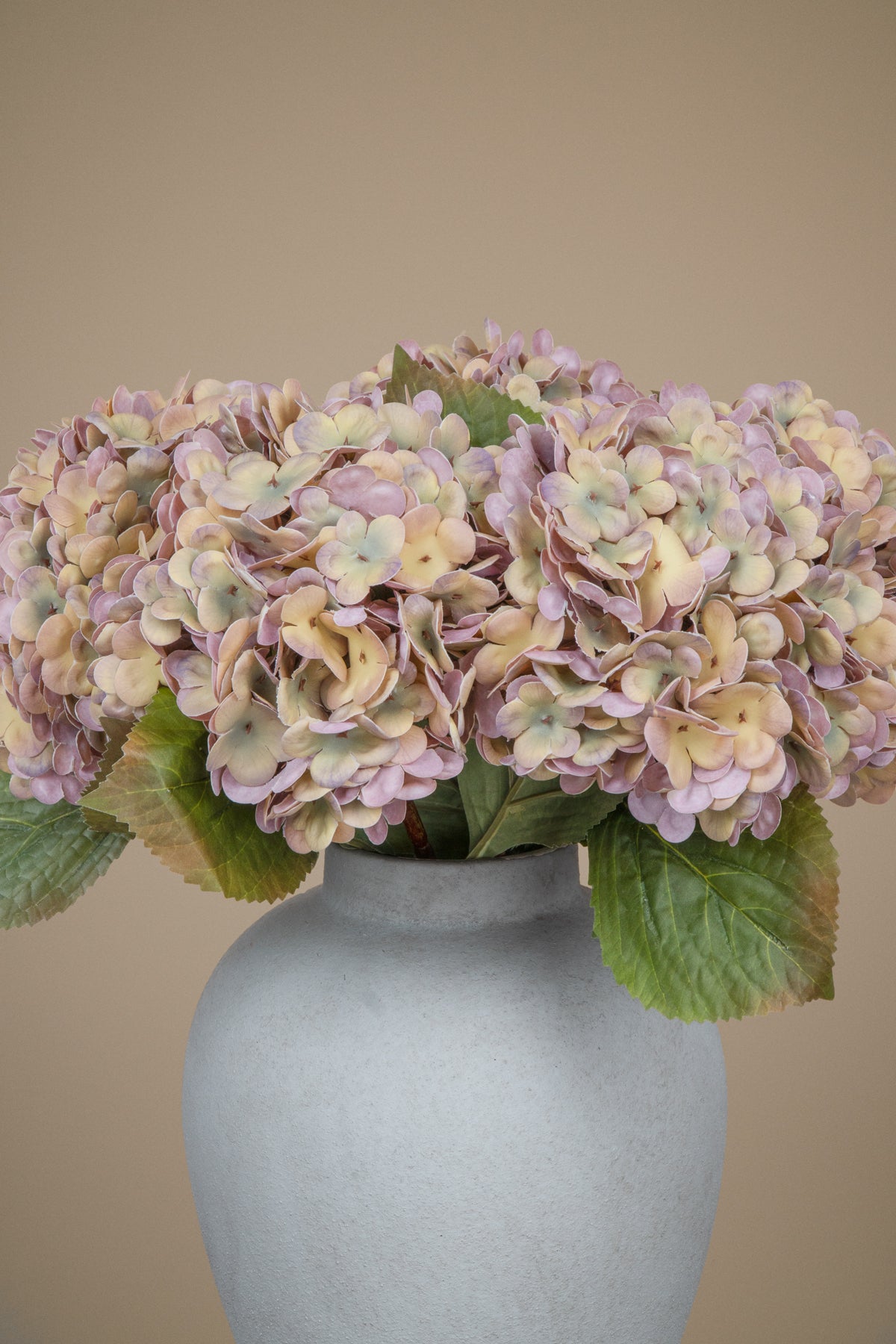 A bouquet of dried pale pink and beige hydrangeas with green leaves arranged in a matte light gray ceramic vase against a solid beige background.