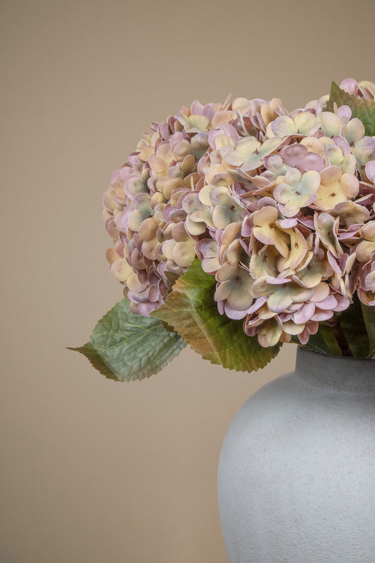 A close-up of dried or fading hydrangea flowers in soft pink, cream, and muted green tones, arranged in a matte light gray ceramic vase against a warm beige background.