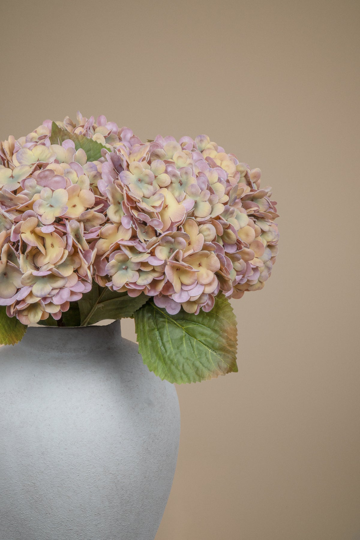 A bouquet of dried, faded pink and yellow hydrangea flowers with green leaves, arranged in a matte light gray ceramic vase against a solid beige background.
