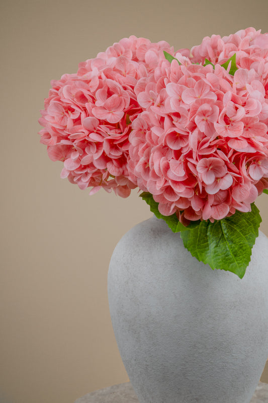 Pink hydrangea flowers arranged in a textured light gray ceramic vase against a solid beige background.