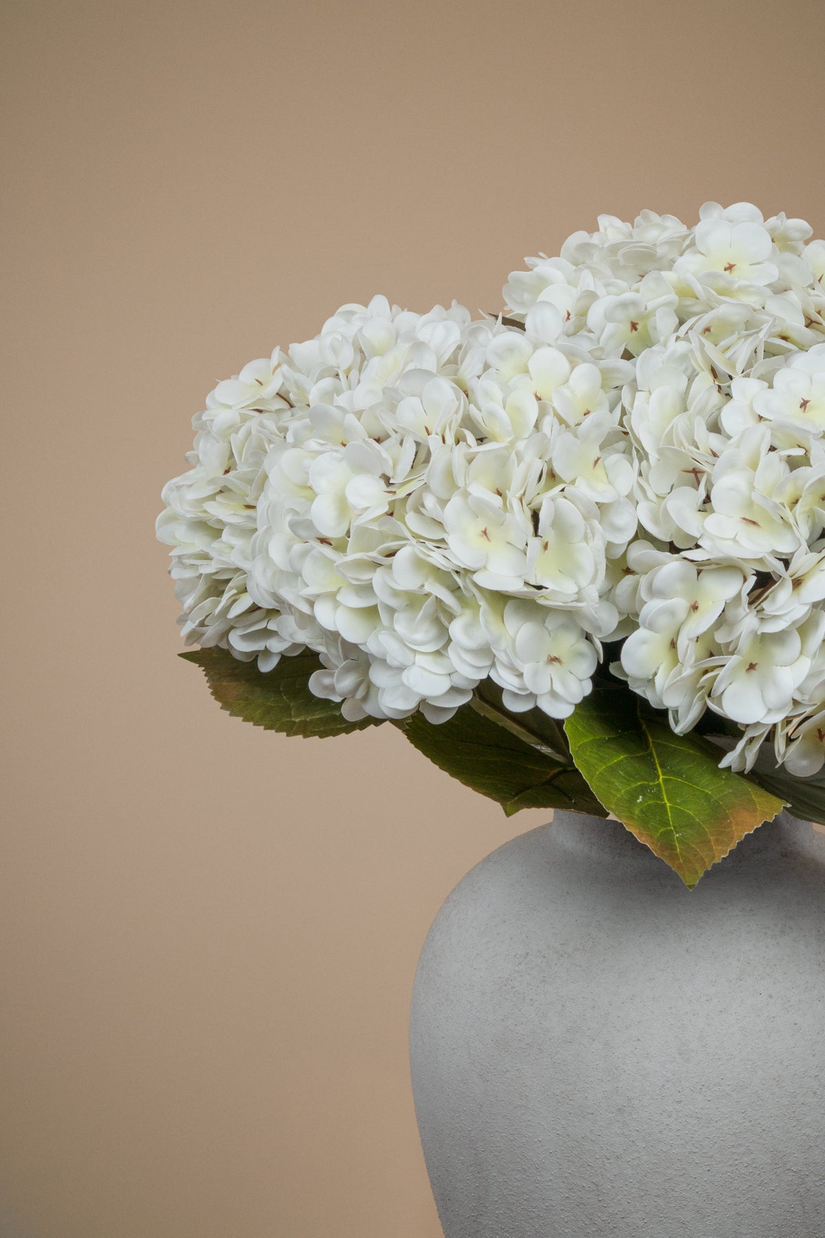 White hydrangea flower heads with green leaves arranged in a matte gray ceramic vase against a solid beige background.