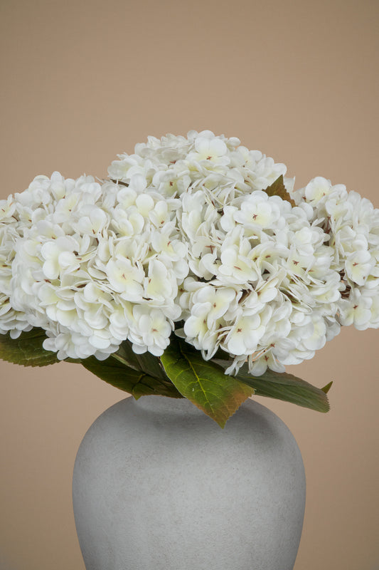 White hydrangea flower bouquet with green leaves arranged in a matte light gray ceramic vase against a solid beige background.